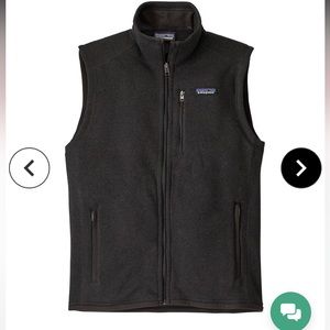 Men Patagonia vest